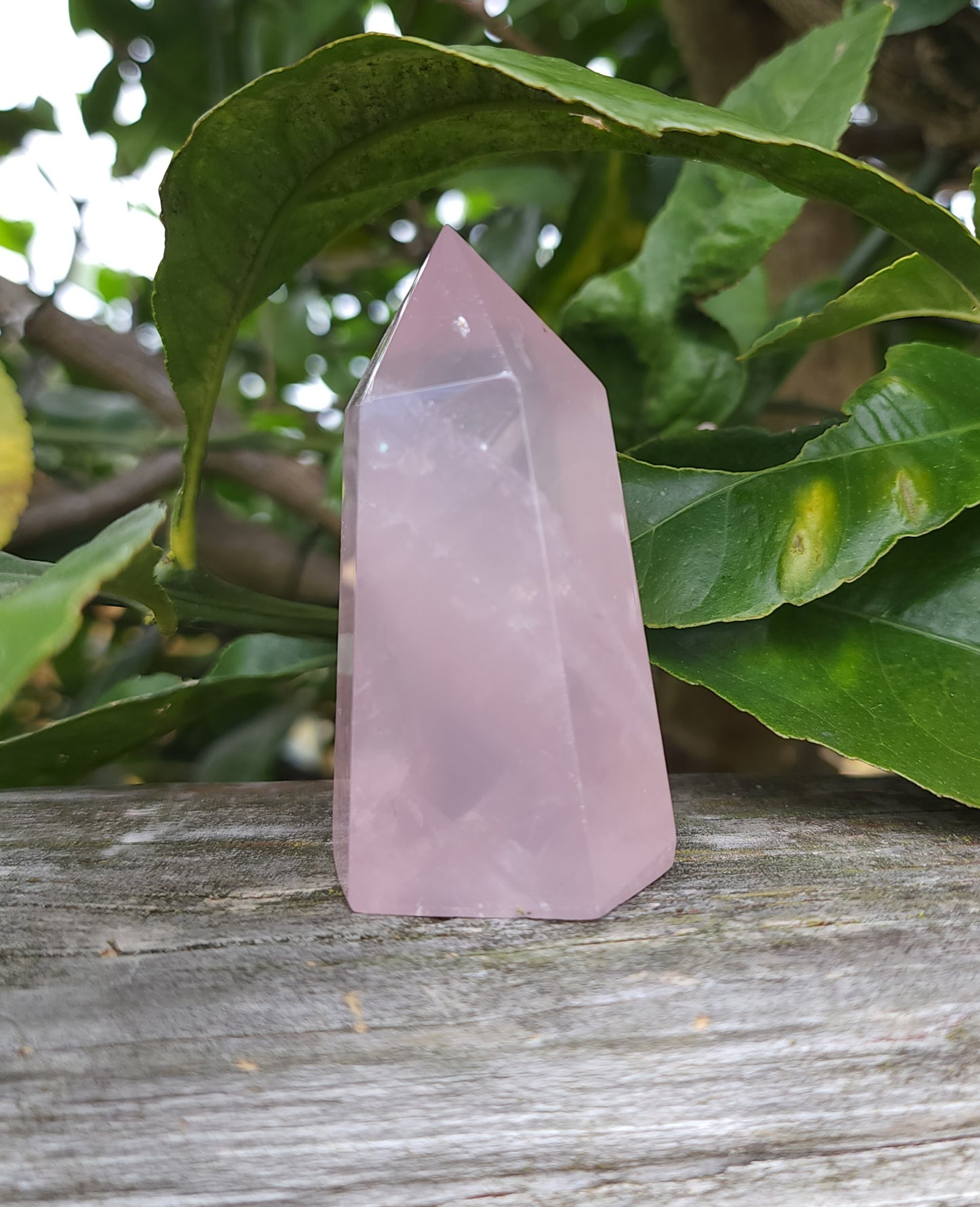 Rose Quartz Point