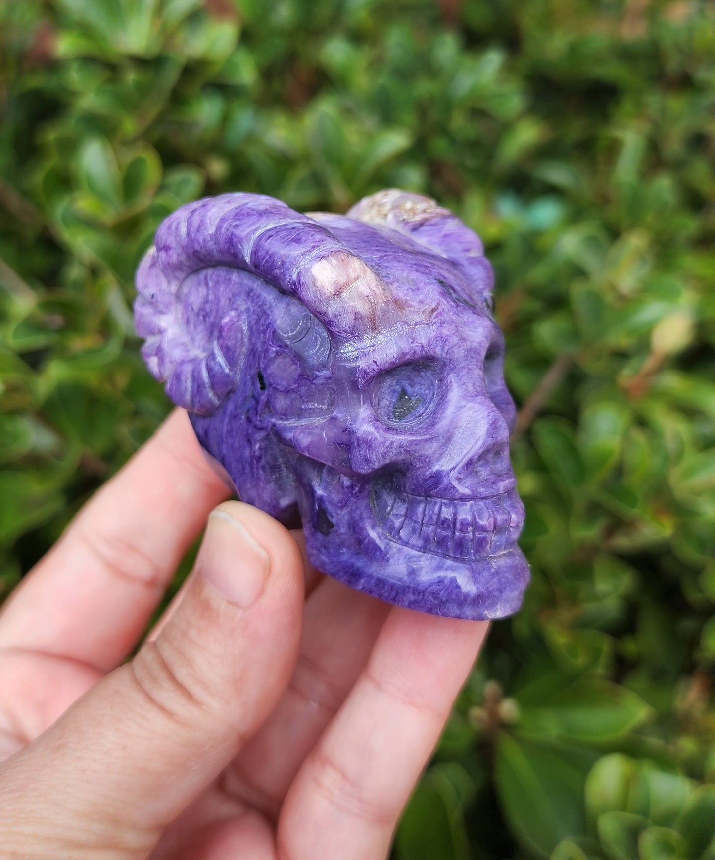 Hand Carved Charoite Horned Skull