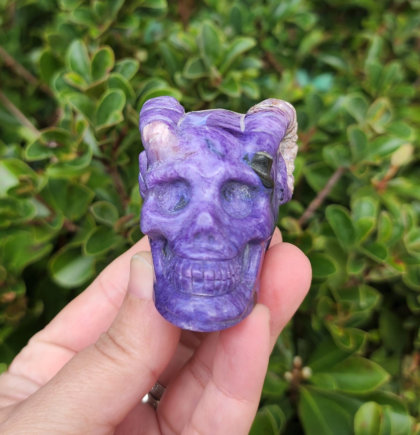 Hand Carved Charoite Horned Skull