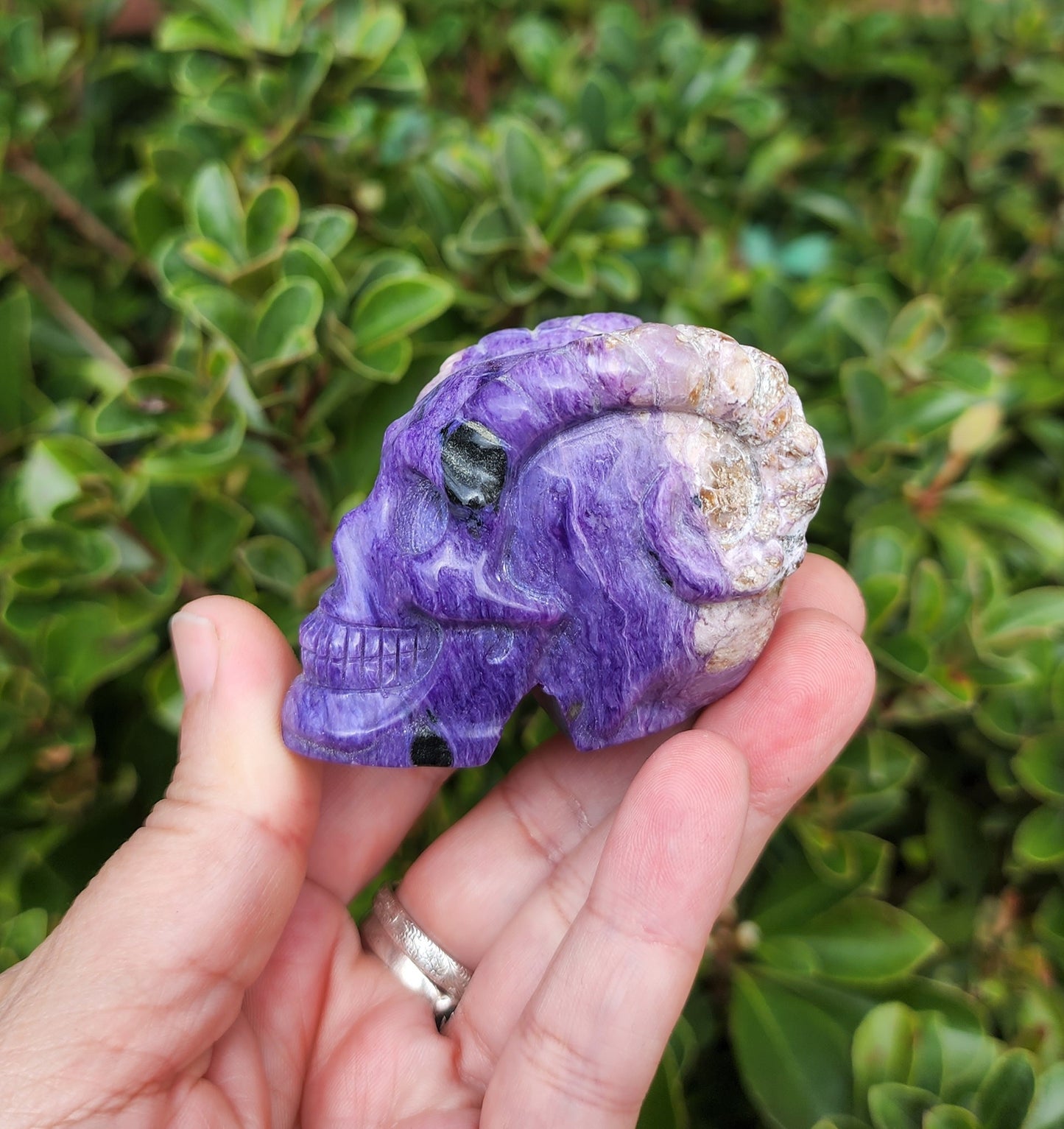 Hand Carved Charoite Horned Skull