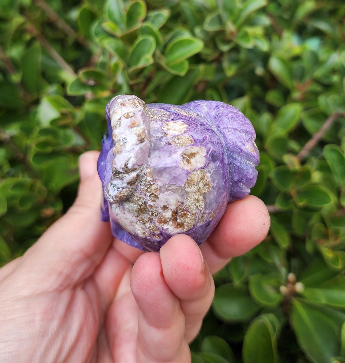 Hand Carved Charoite Horned Skull