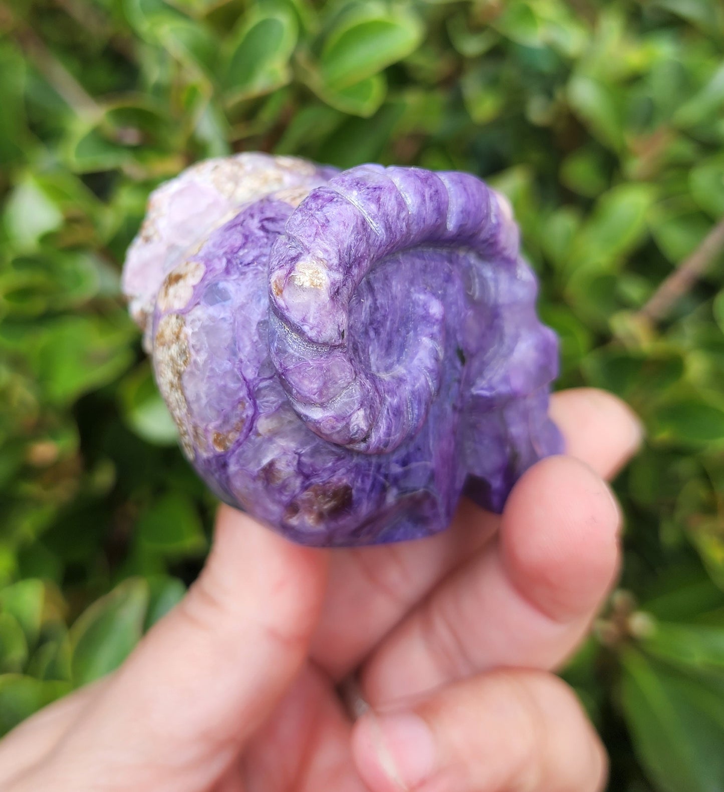 Hand Carved Charoite Horned Skull