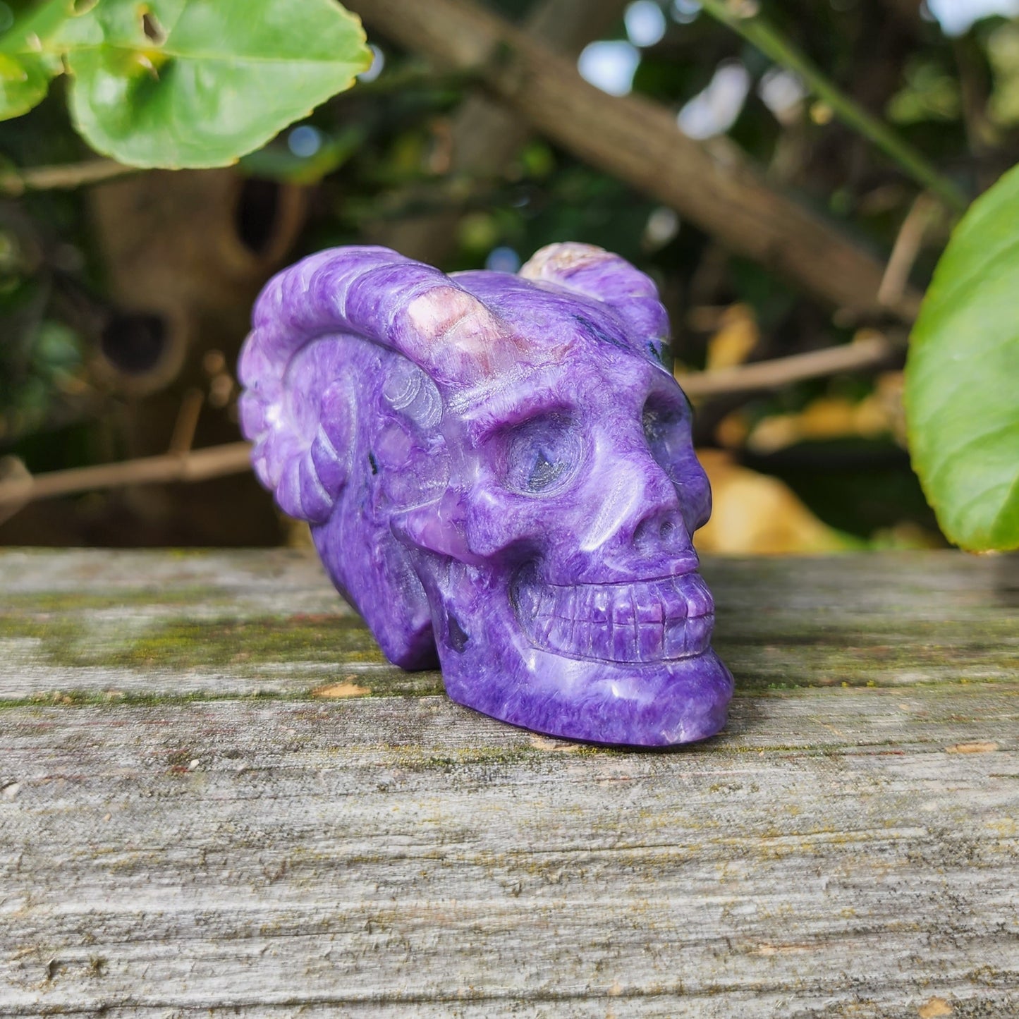 Hand Carved Charoite Horned Skull