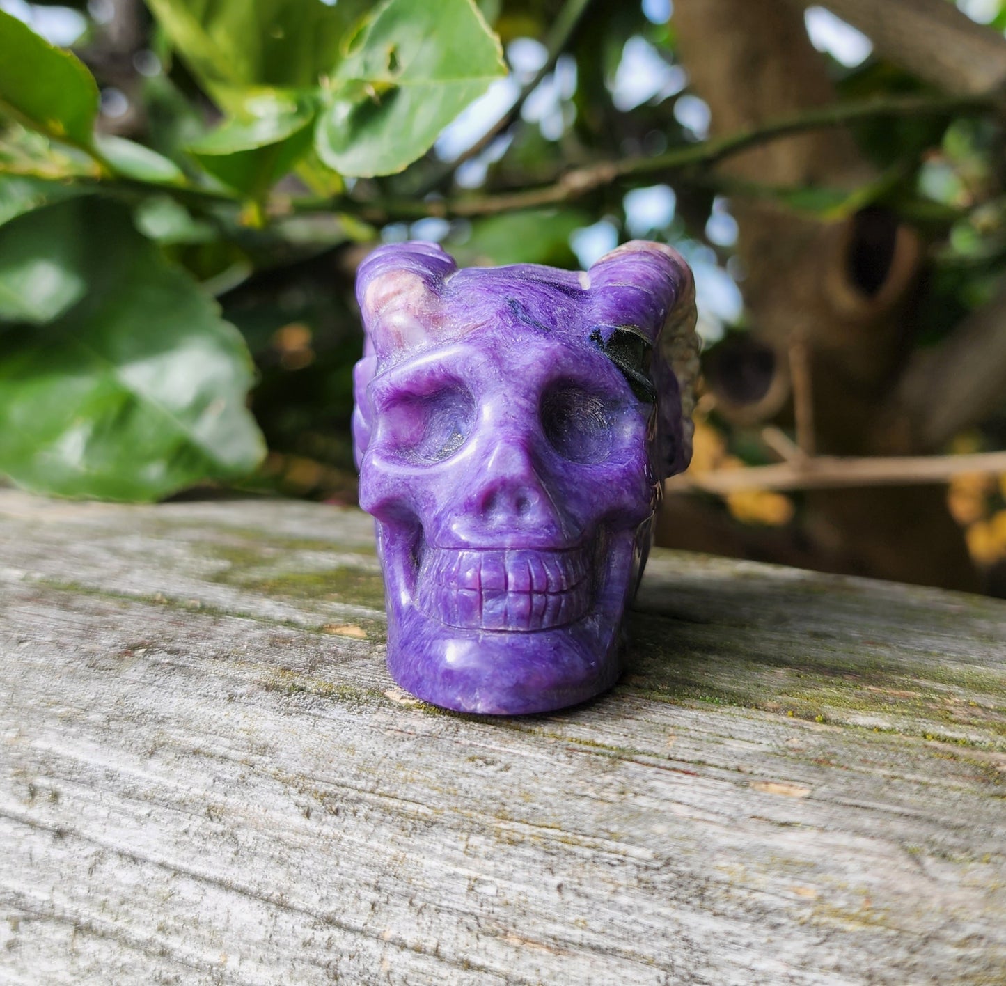 Hand Carved Charoite Horned Skull