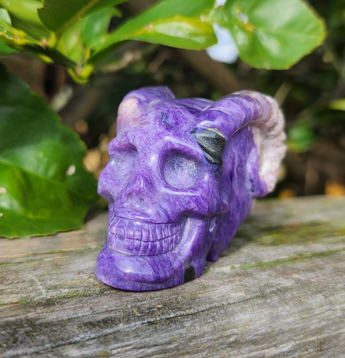 Hand Carved Charoite Horned Skull