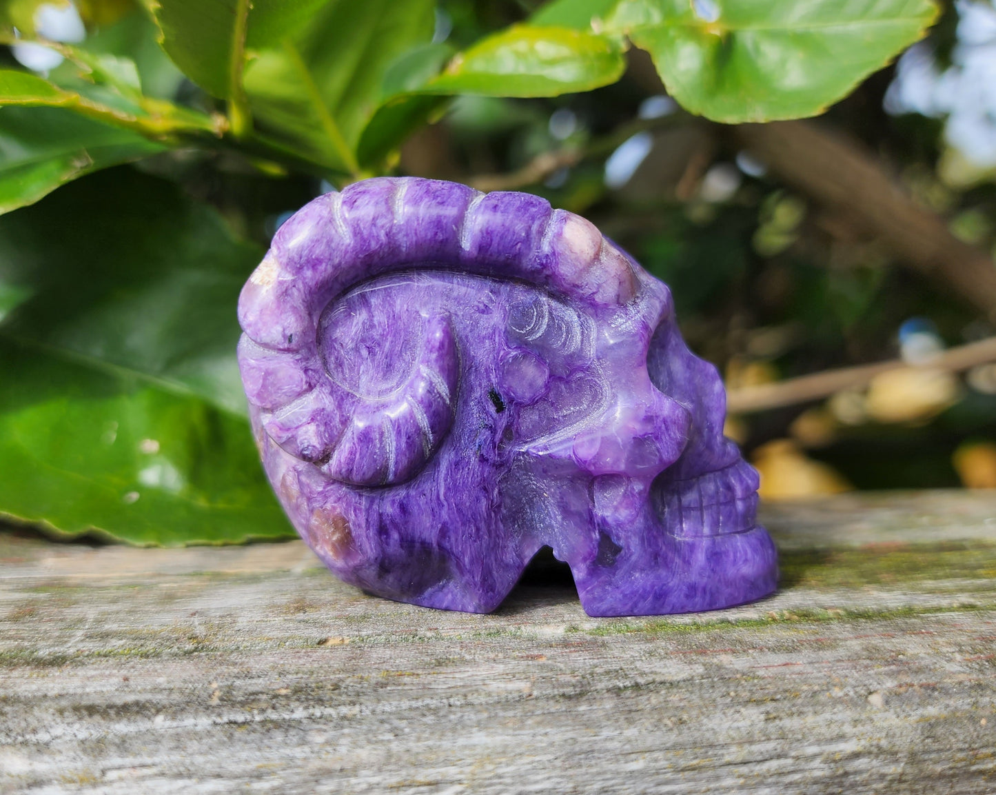 Hand Carved Charoite Horned Skull