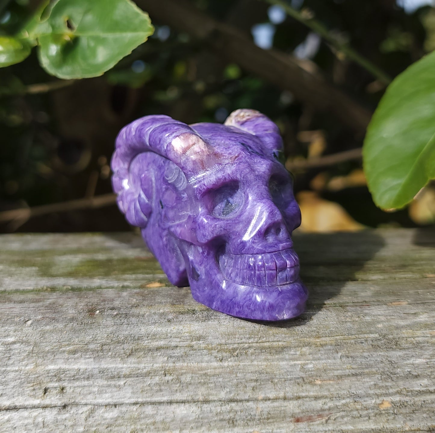 Hand Carved Charoite Horned Skull