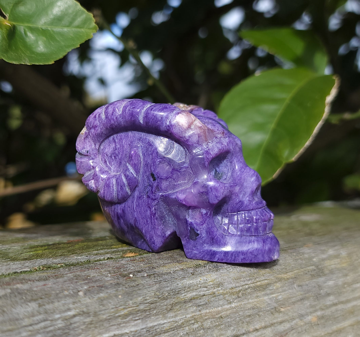 Hand Carved Charoite Horned Skull