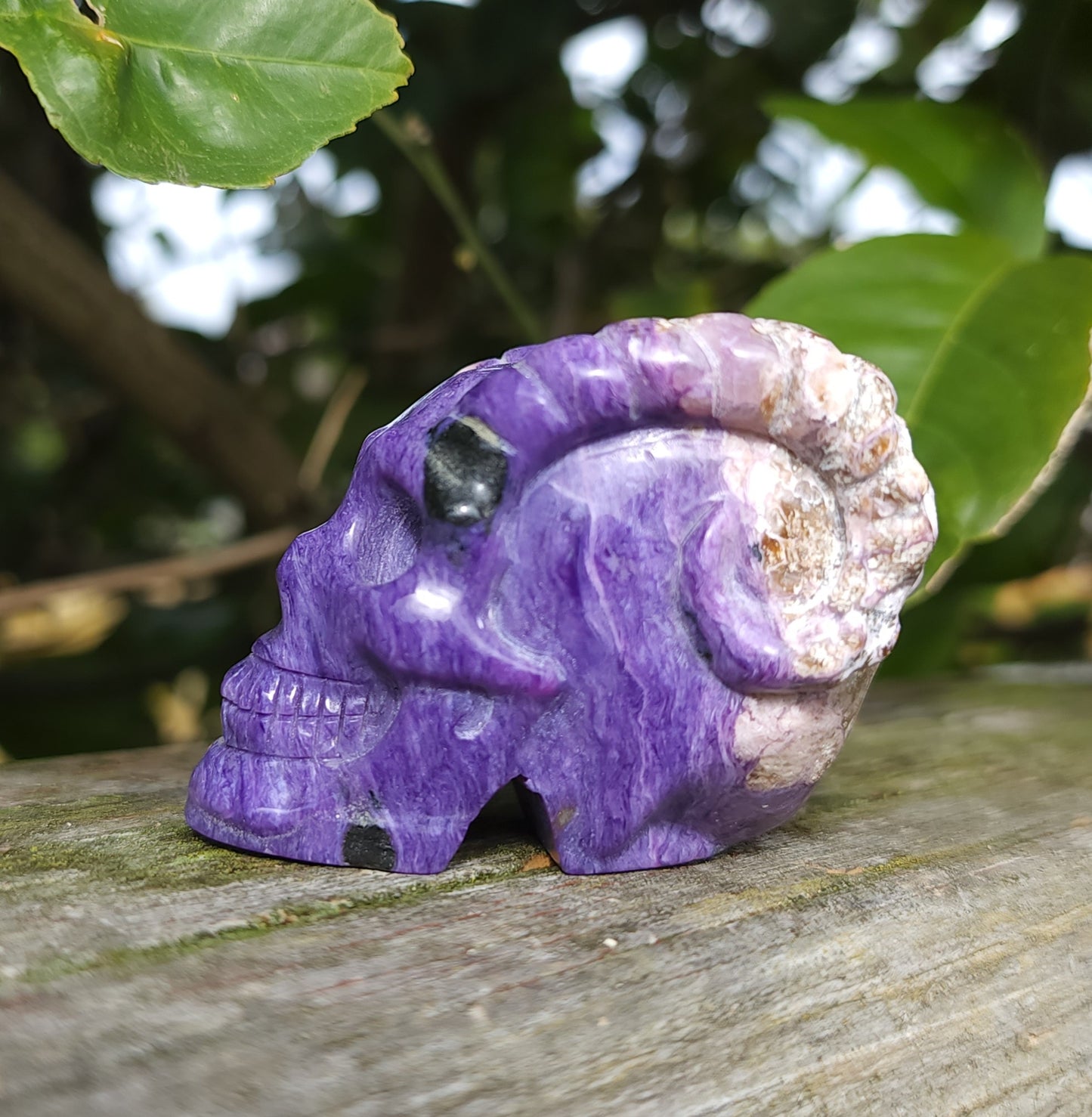 Hand Carved Charoite Horned Skull