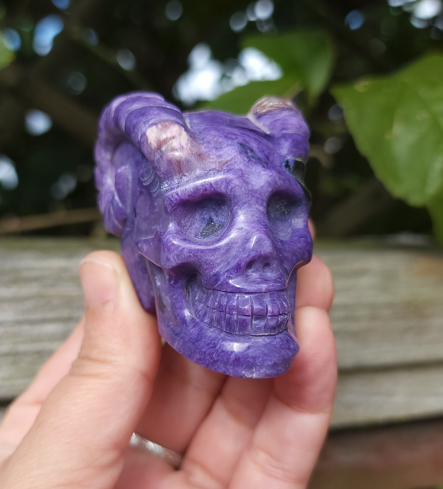 Hand Carved Charoite Horned Skull