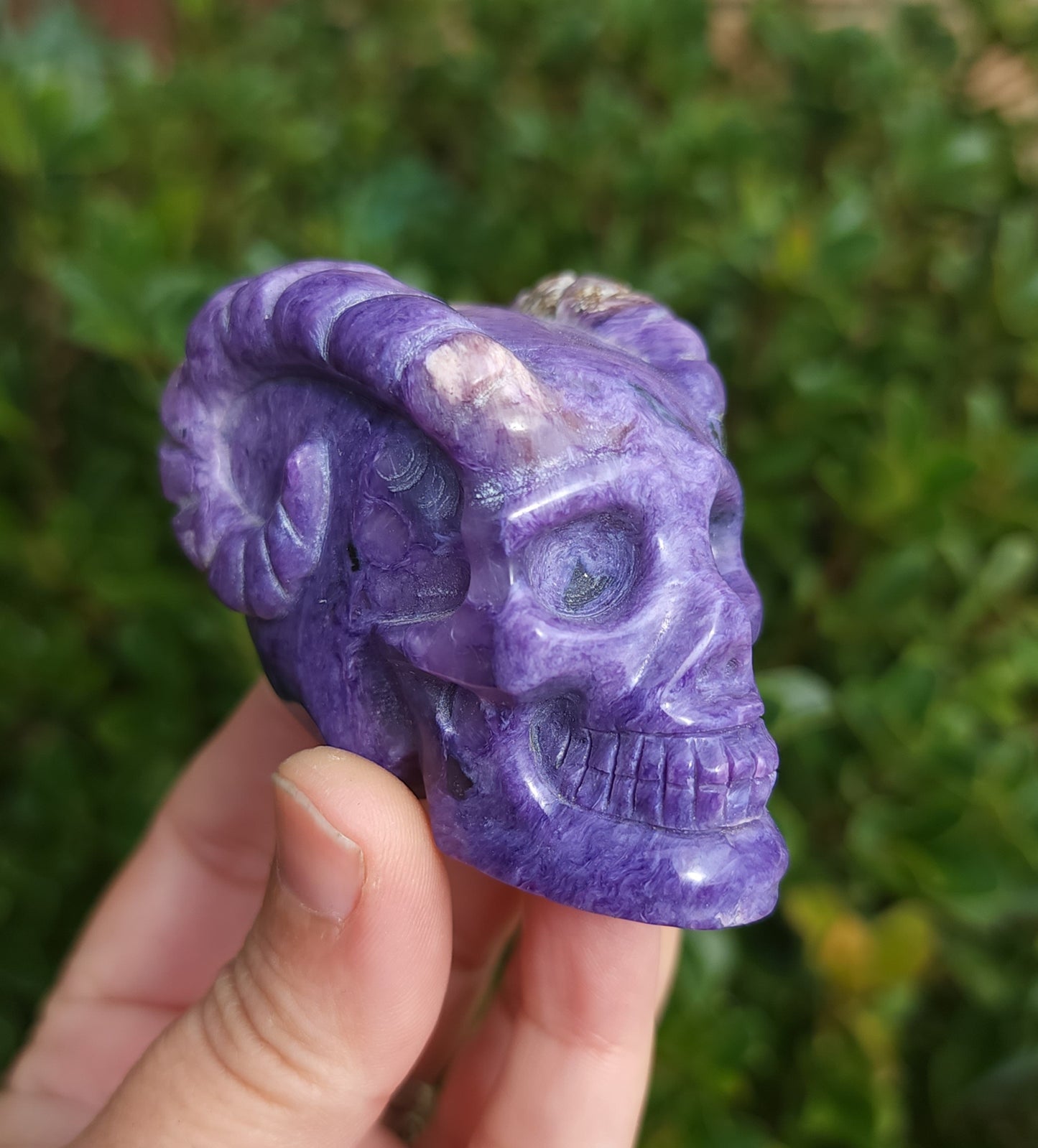 Hand Carved Charoite Horned Skull