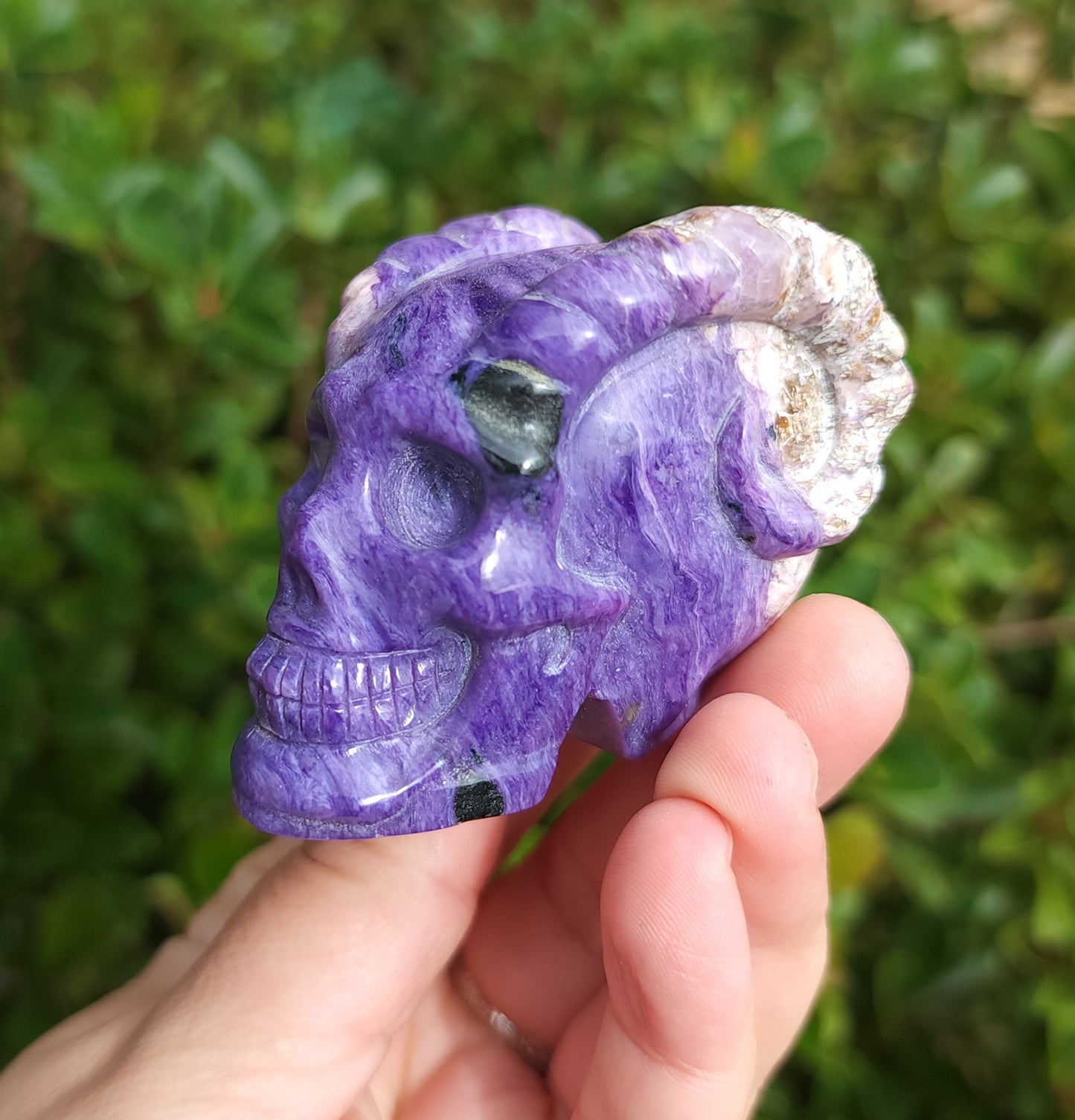 Hand Carved Charoite Horned Skull