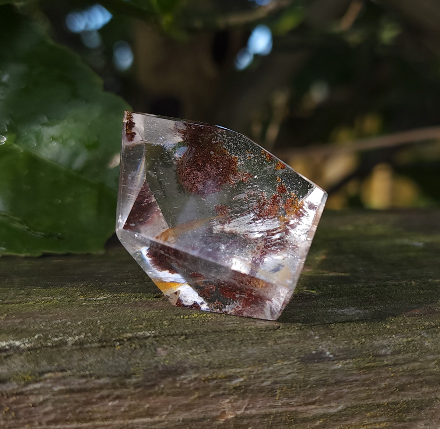 Lodolite Garden Quartz Freeform