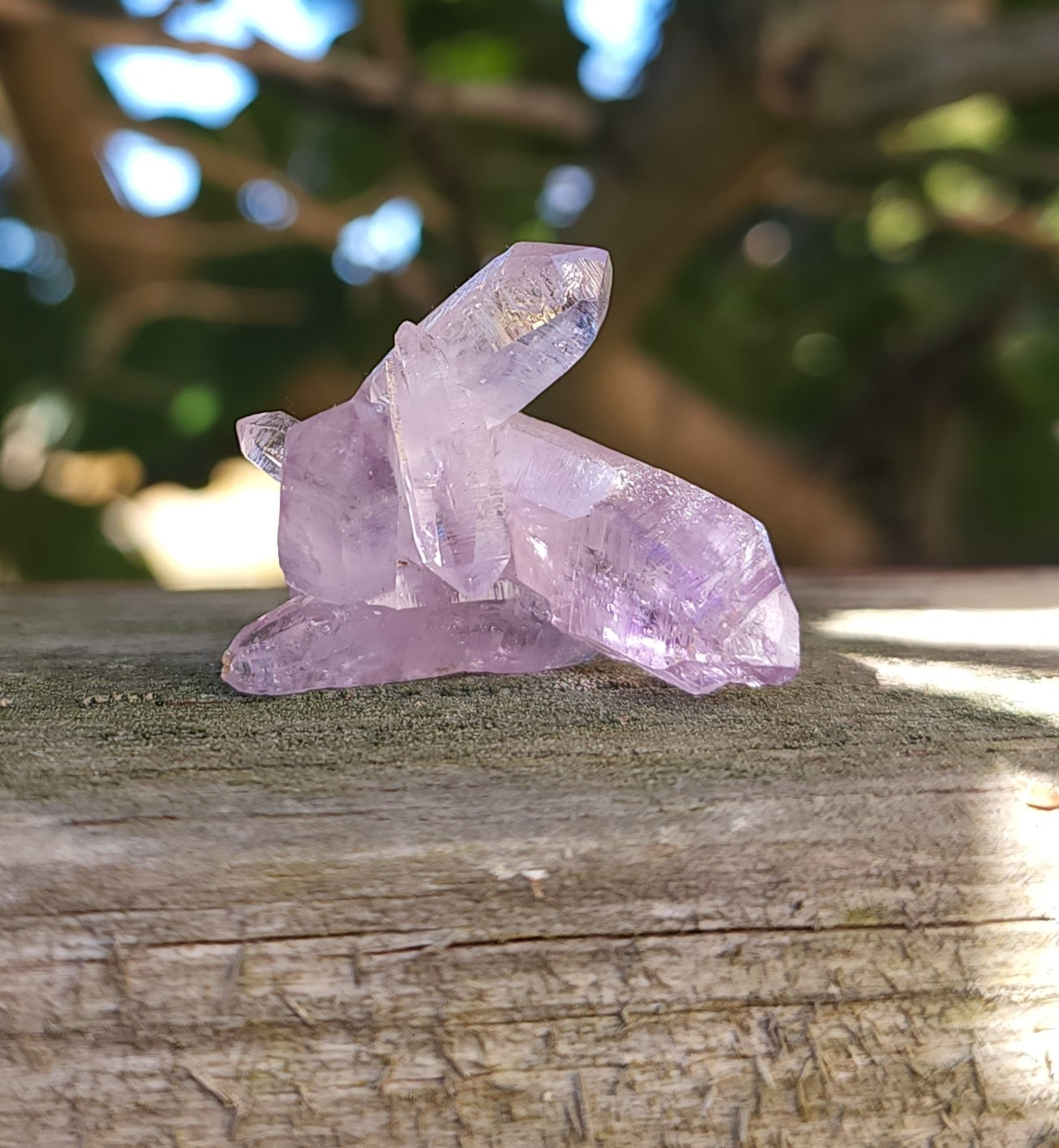 Vera Cruz Amethyst Specimen