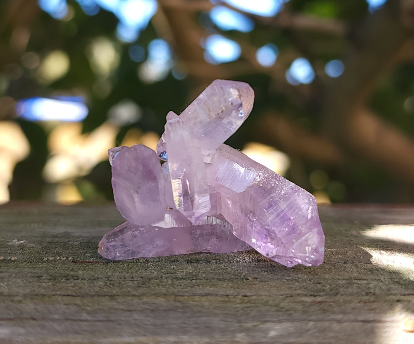 Vera Cruz Amethyst Specimen
