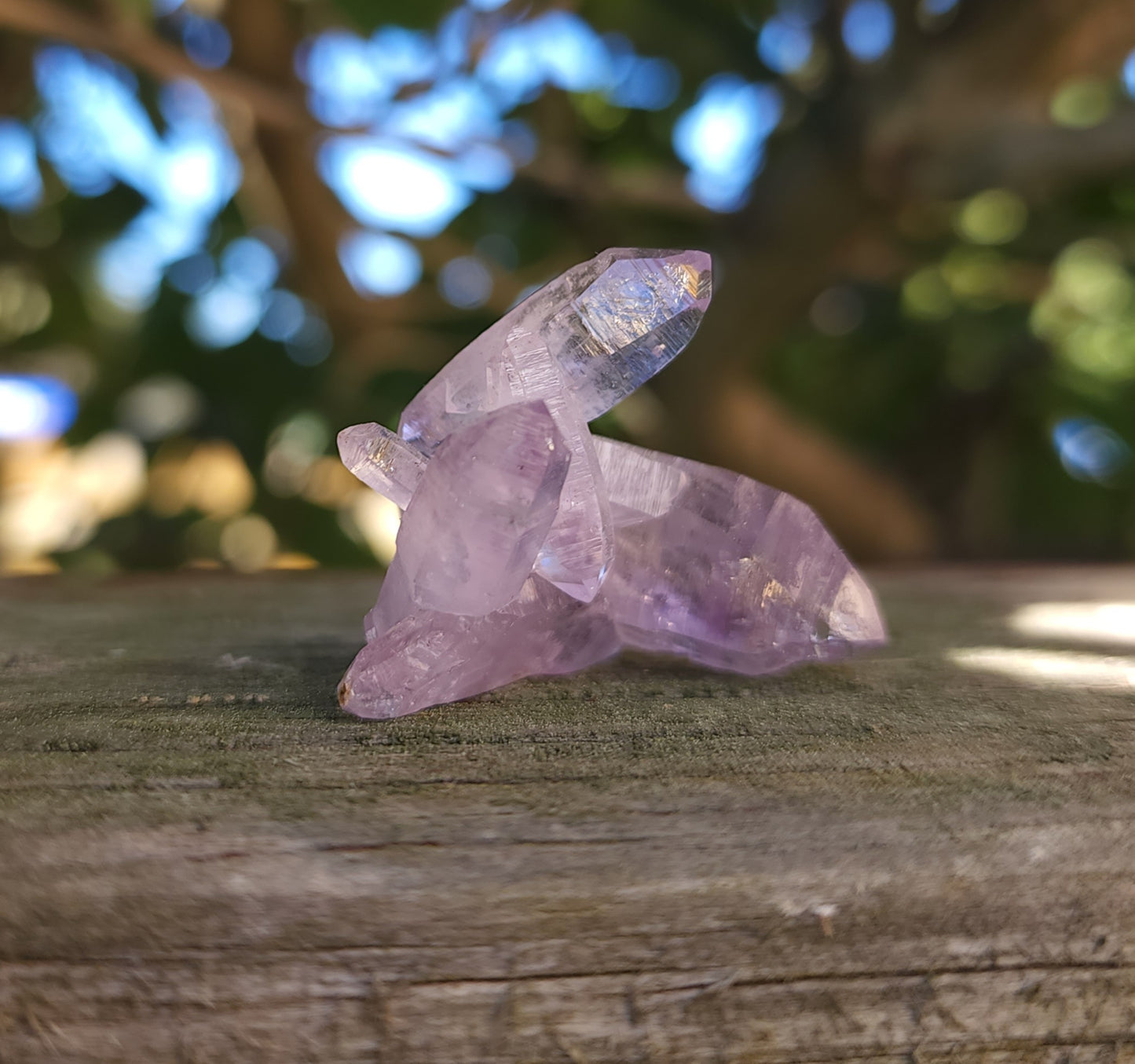 Vera Cruz Amethyst Specimen