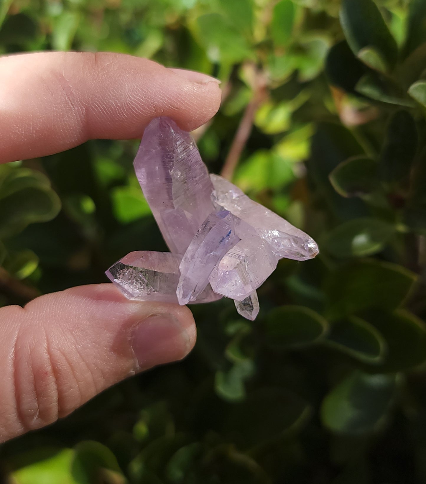 Vera Cruz Amethyst Specimen