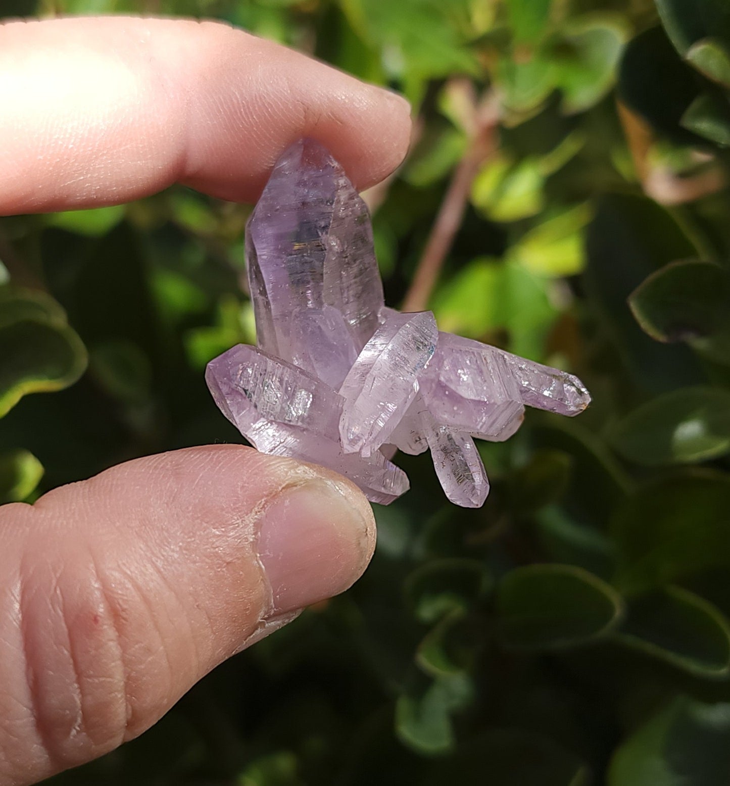 Vera Cruz Amethyst Specimen