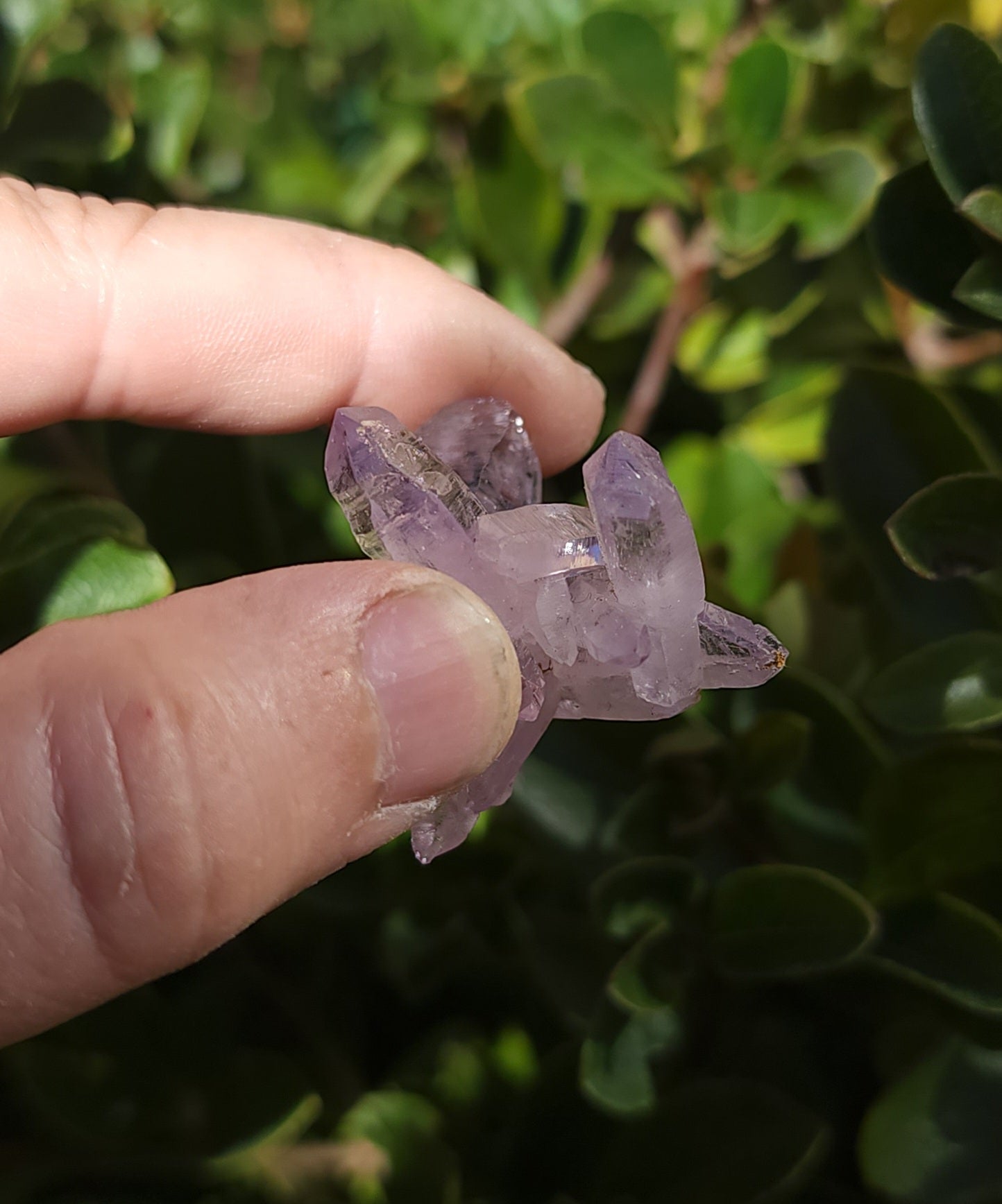 Vera Cruz Amethyst Specimen