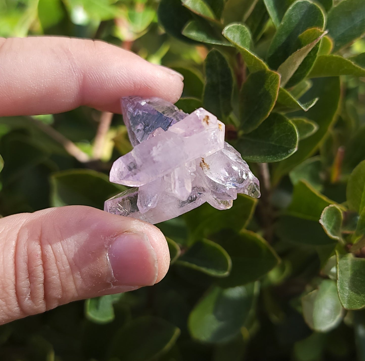 Vera Cruz Amethyst Specimen