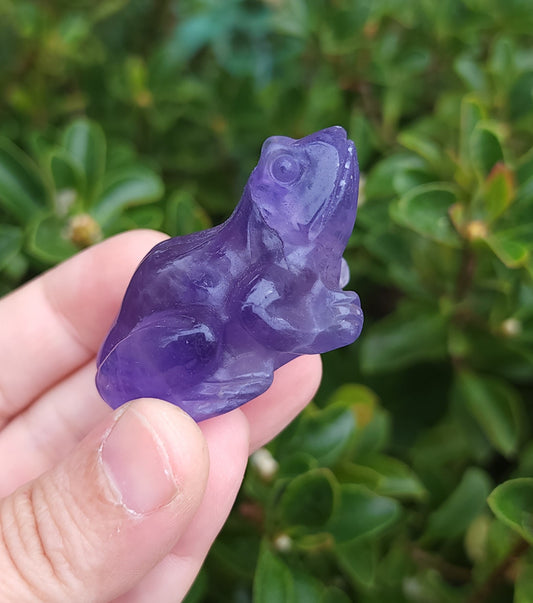 Purple Fluorite Frog