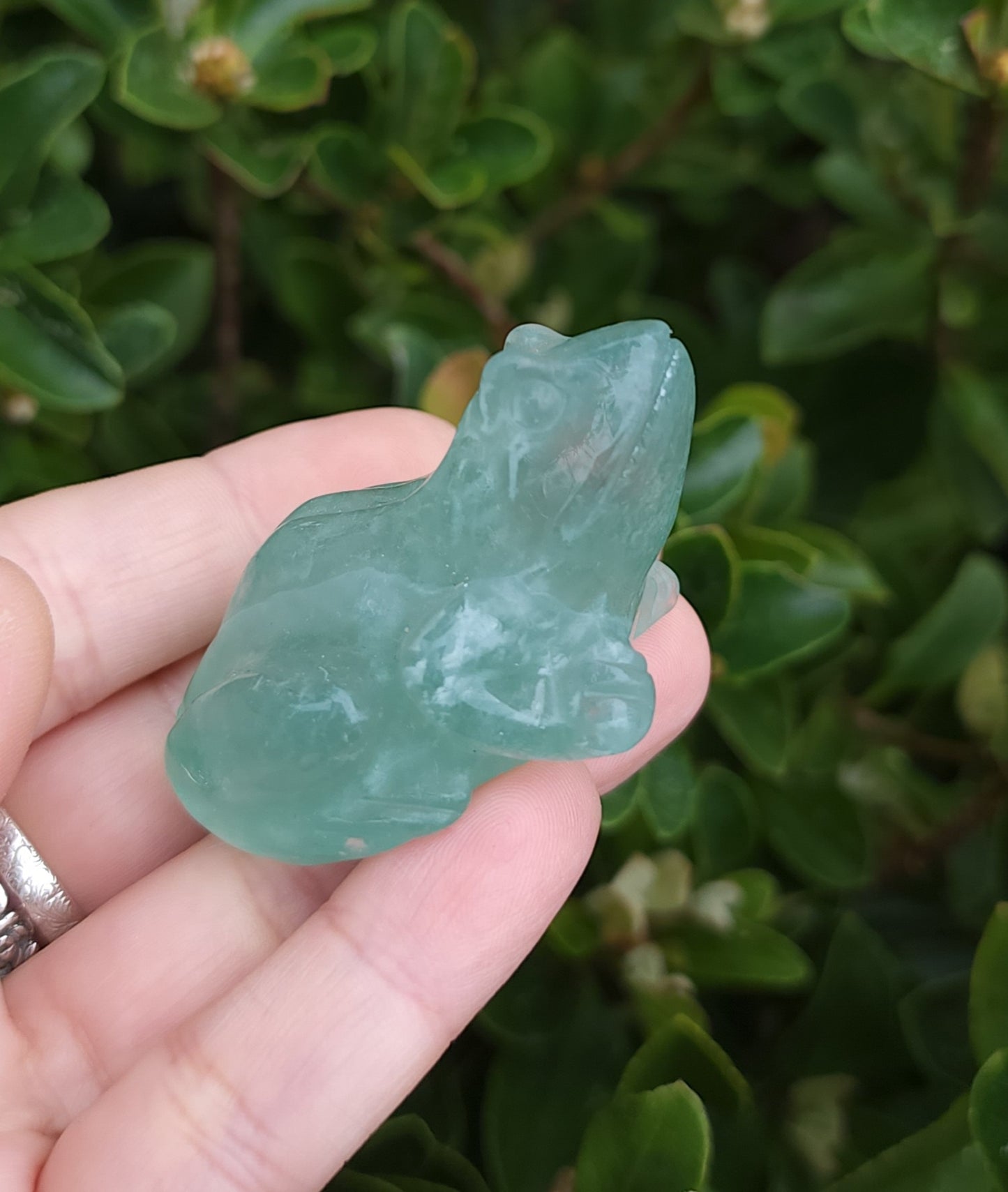 Green Fluorite Frog