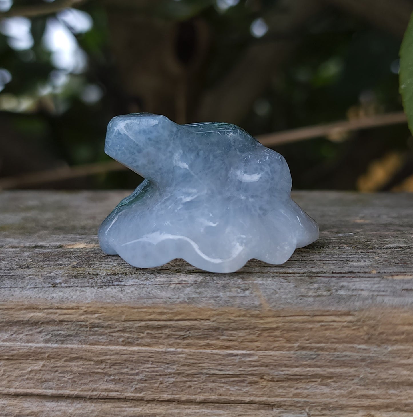 Moss Agate Frog on Lily Pad