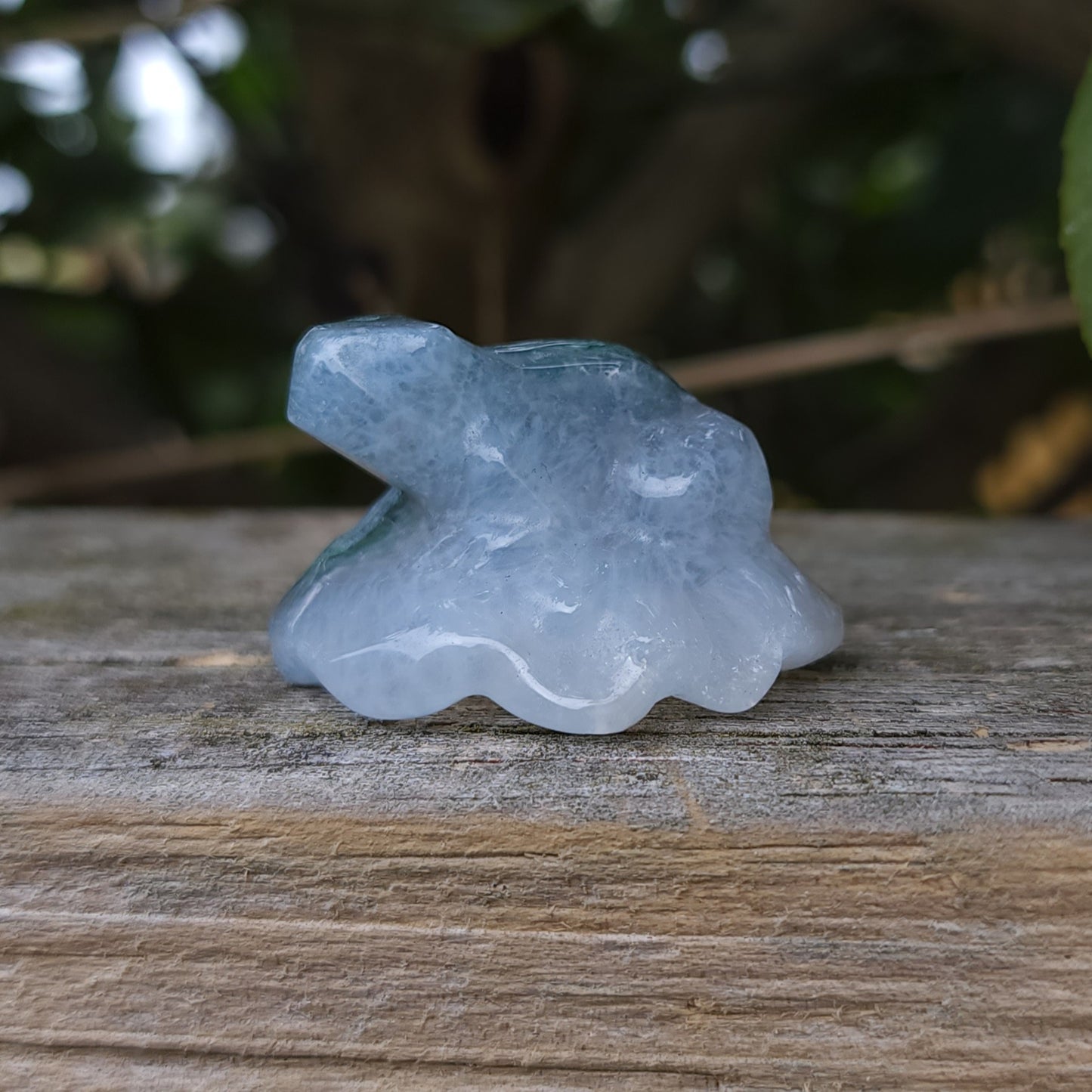 Moss Agate Frog on Lily Pad