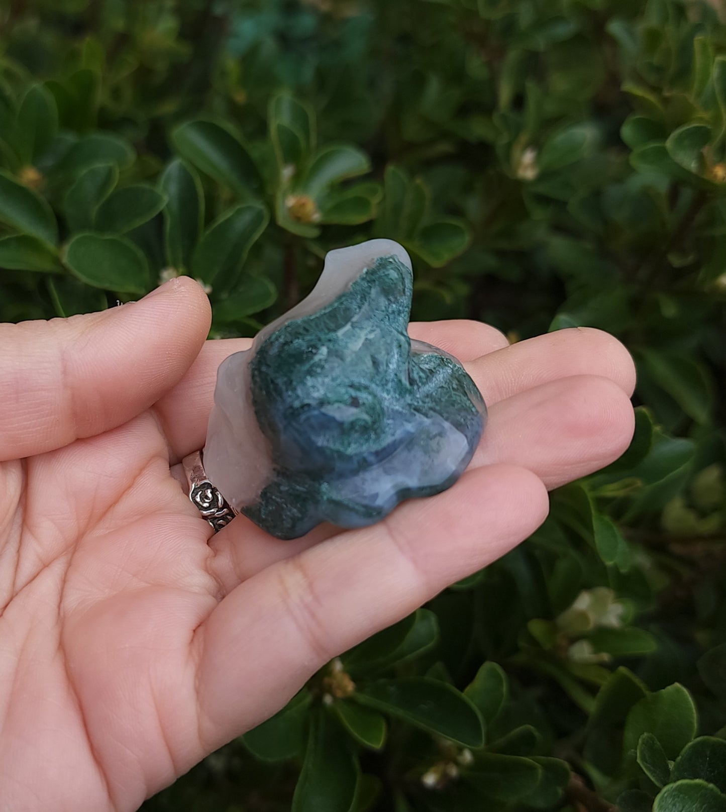 Moss Agate Frog on Lily Pad