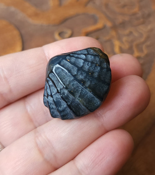 Blue Tigers Eye Shell