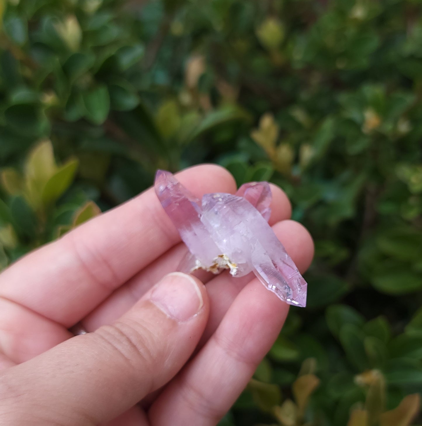Vera Cruz Amethyst Specimen