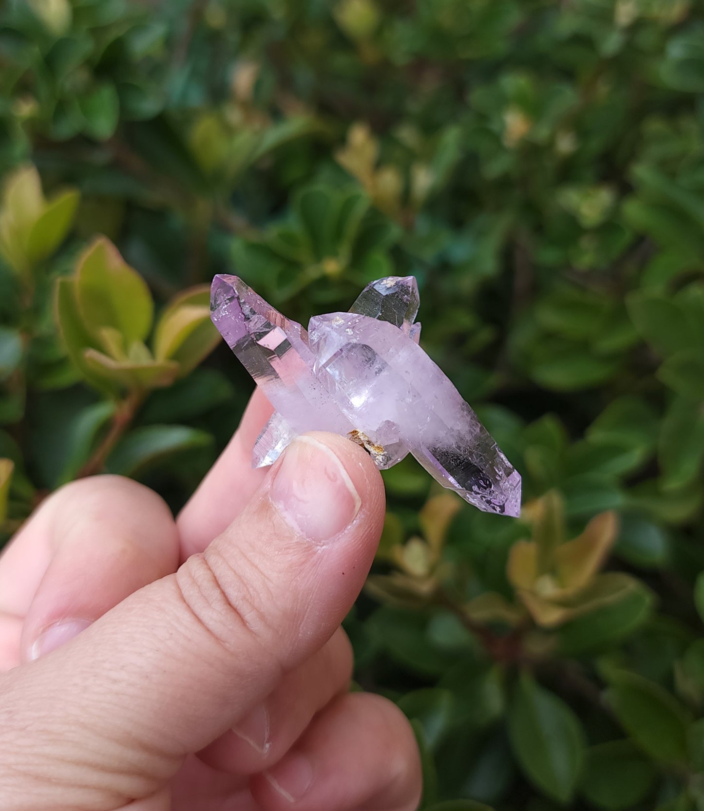 Vera Cruz Amethyst Specimen