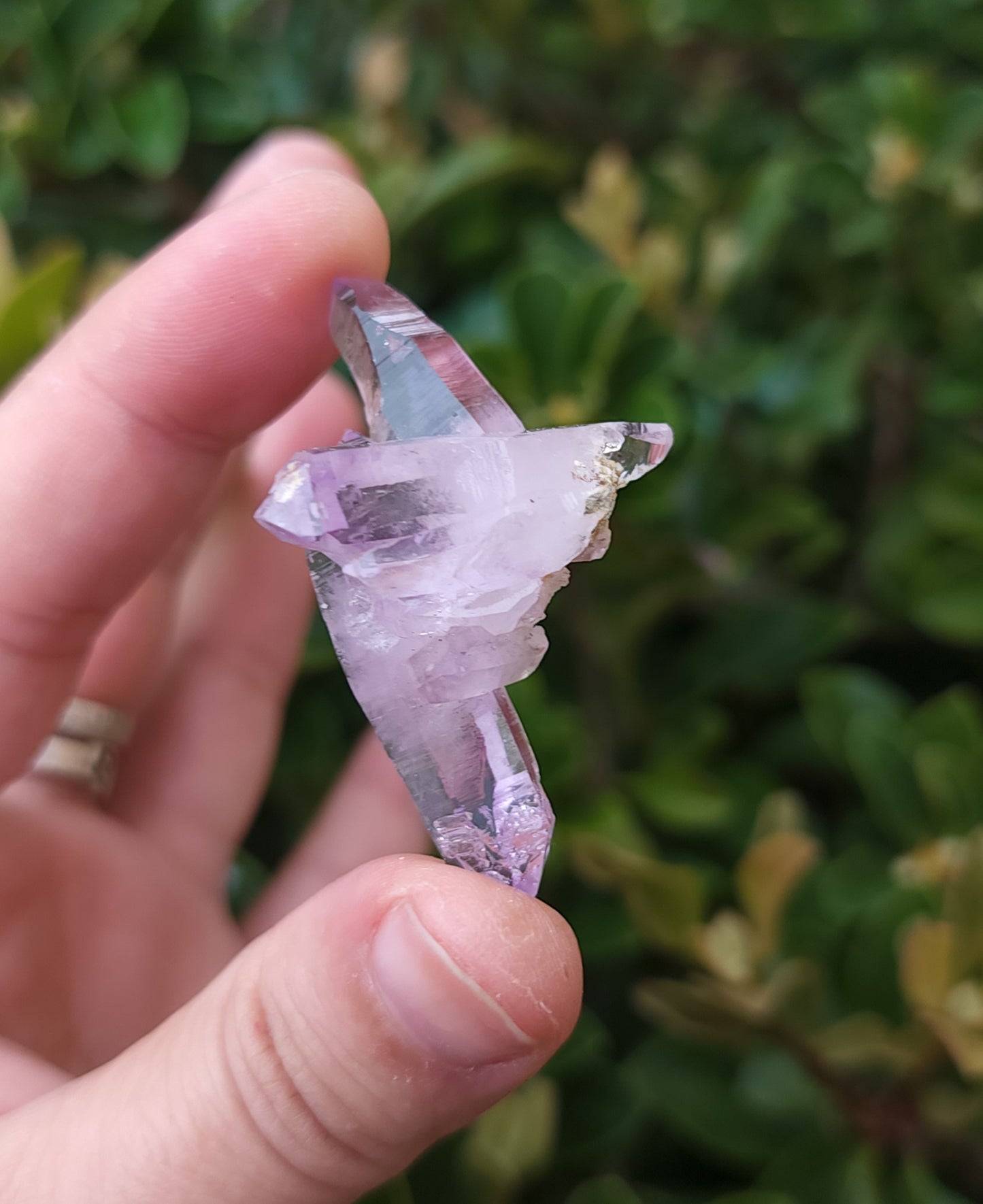 Vera Cruz Amethyst Specimen