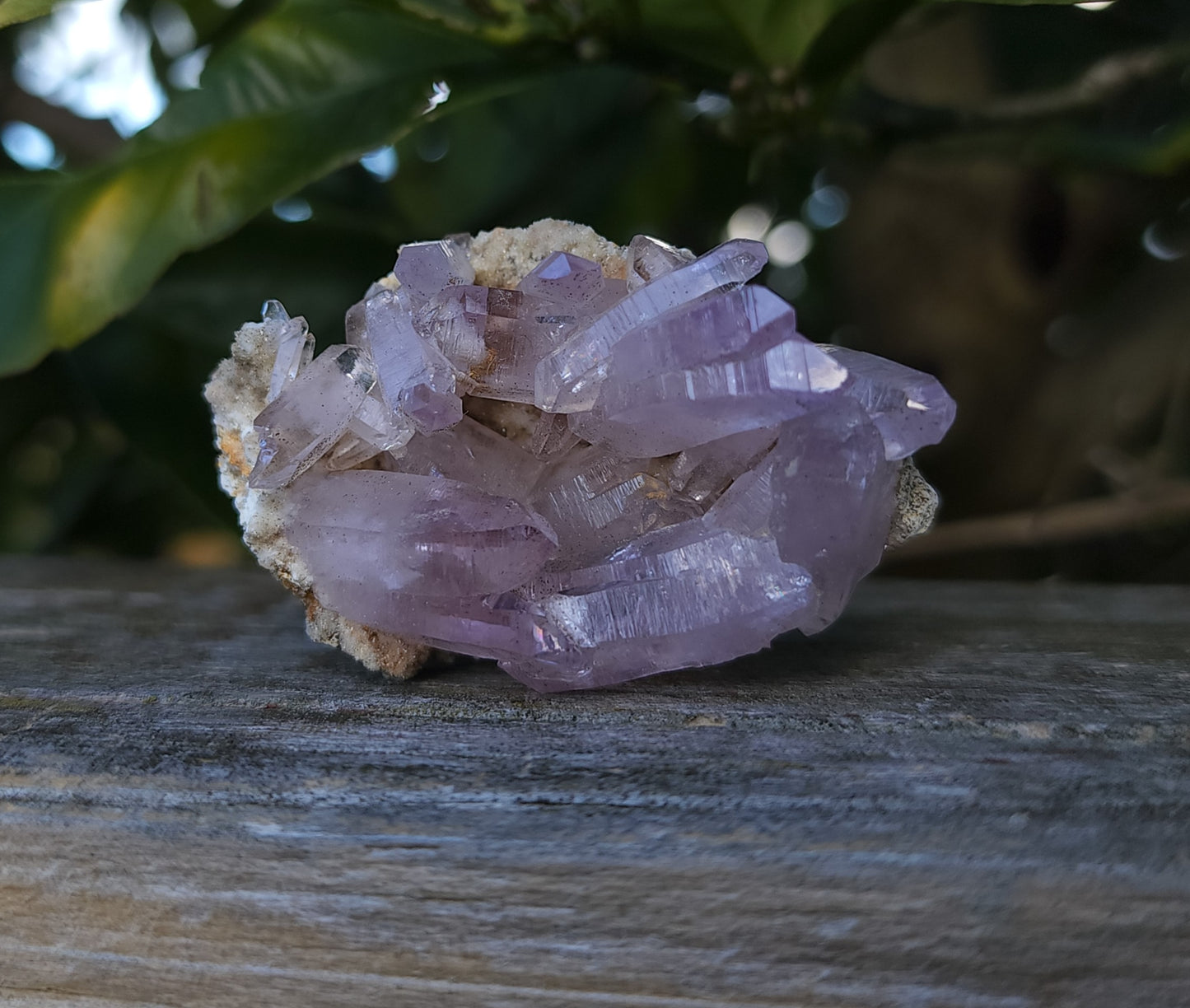 Vera Cruz Amethyst Specimen