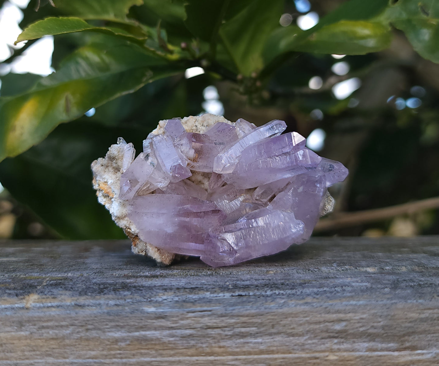 Vera Cruz Amethyst Specimen