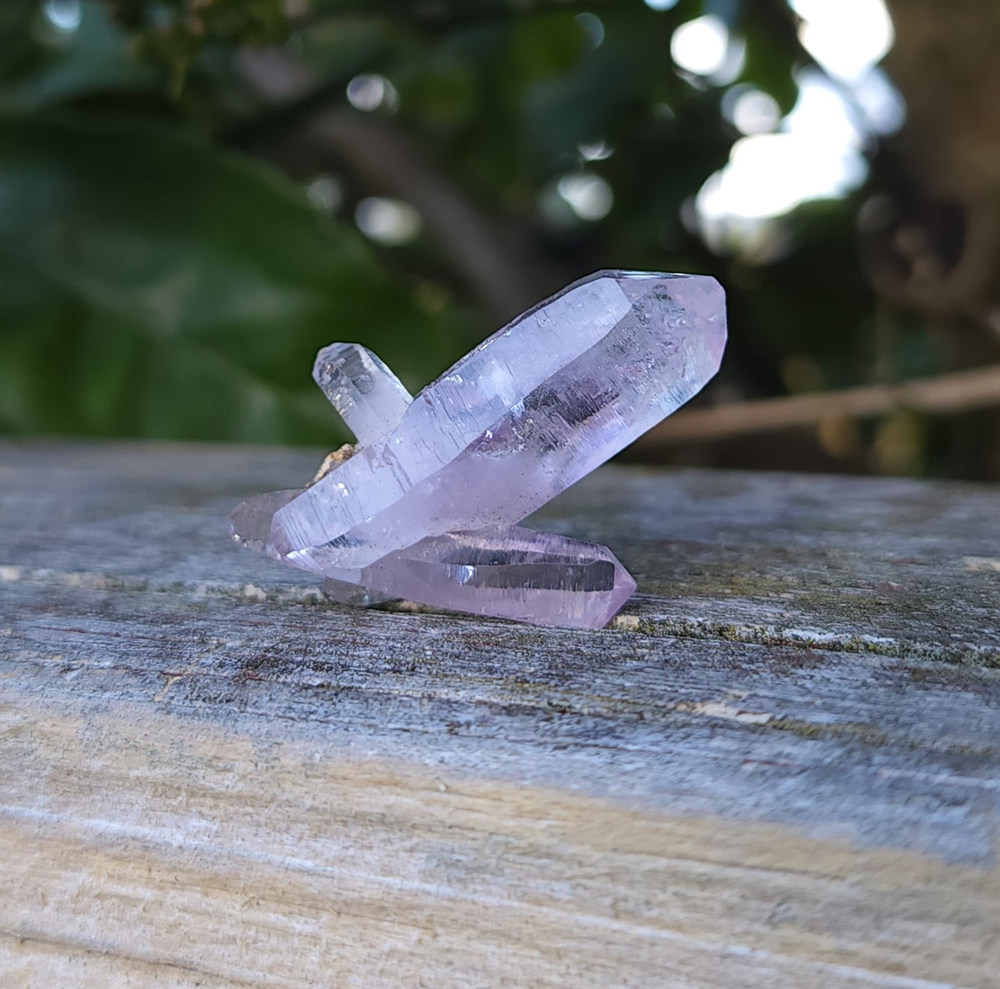 Vera Cruz Amethyst Specimen