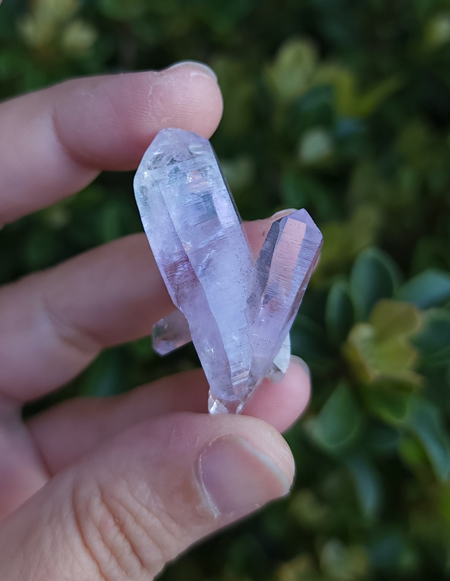 Vera Cruz Amethyst Specimen