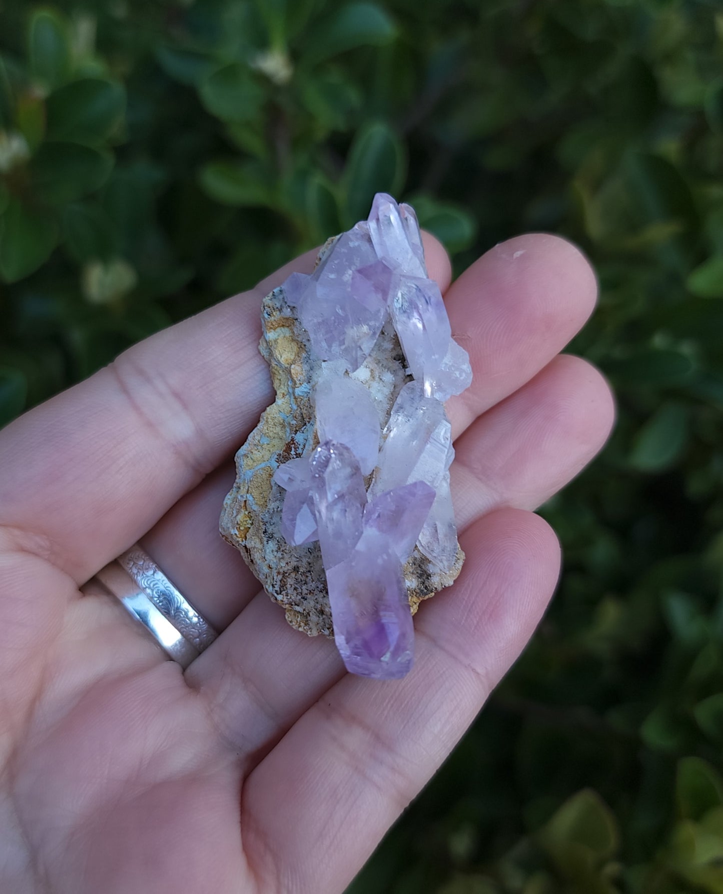 Vera Cruz Amethyst Specimen
