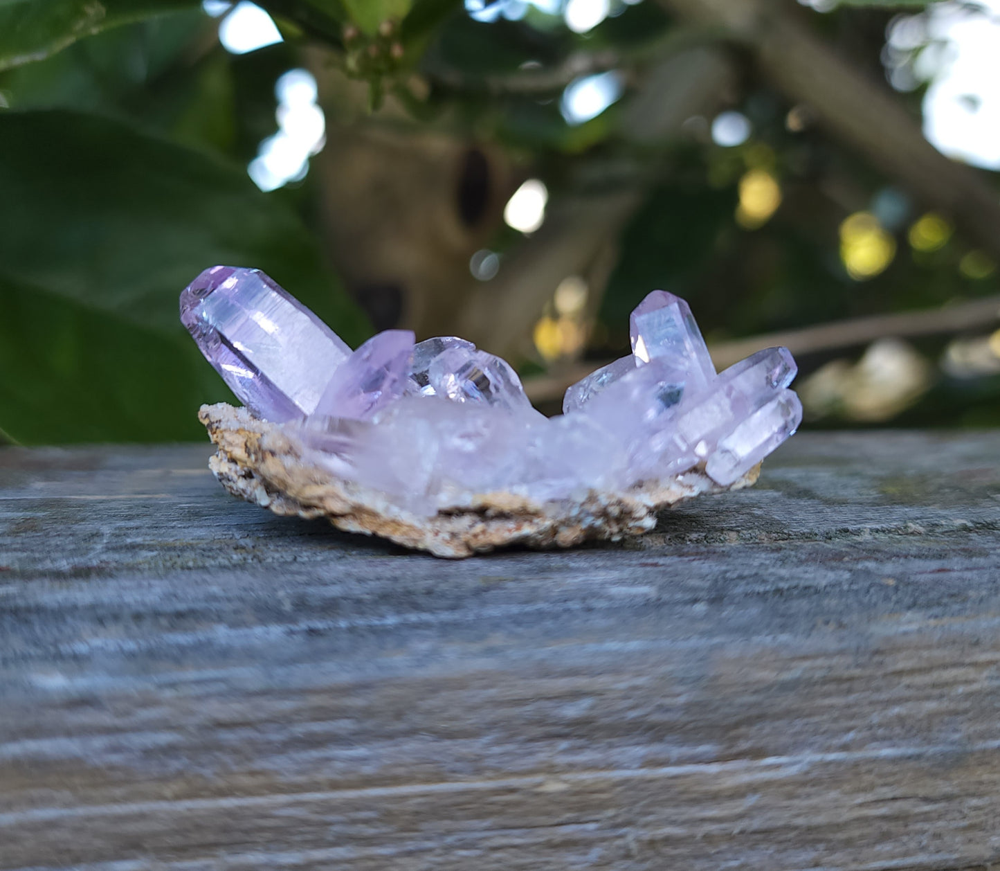 Vera Cruz Amethyst Specimen