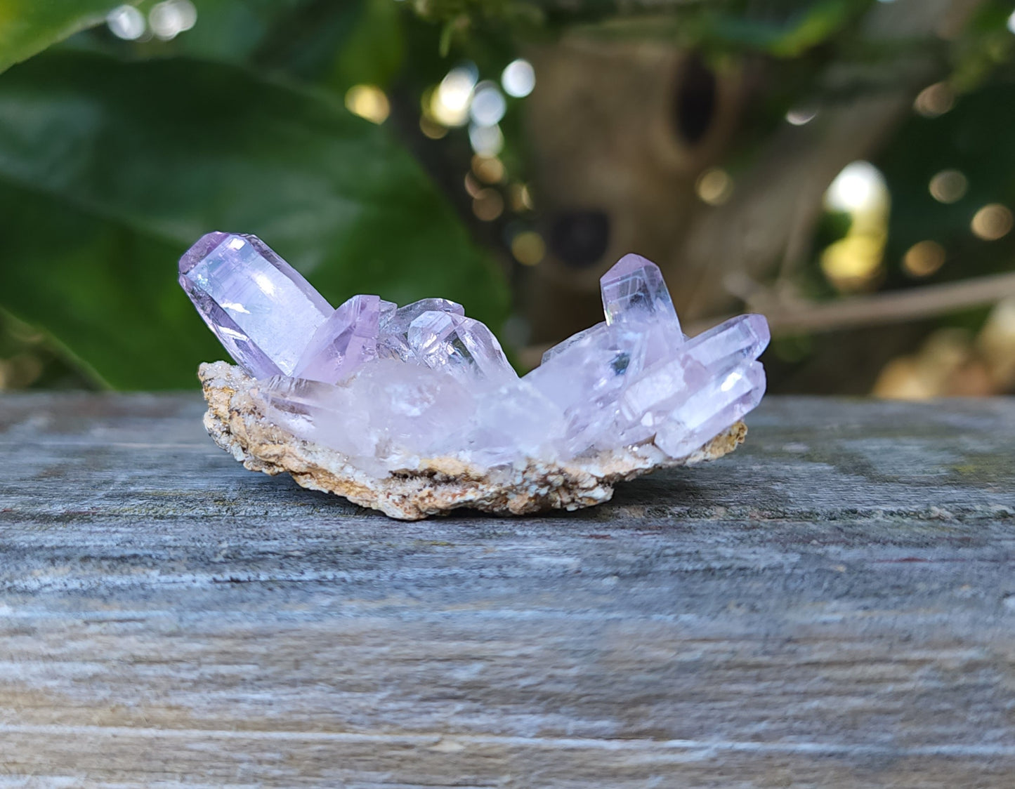 Vera Cruz Amethyst Specimen