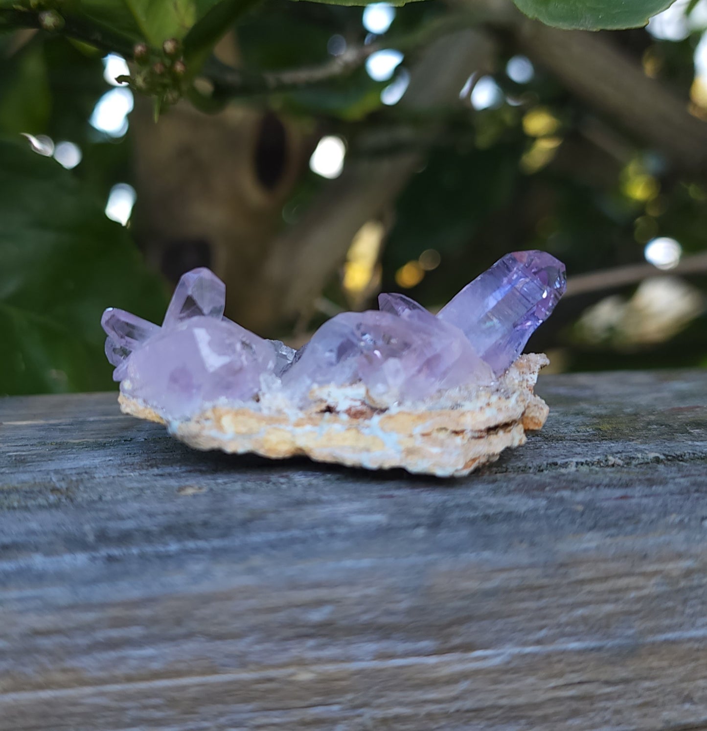 Vera Cruz Amethyst Specimen