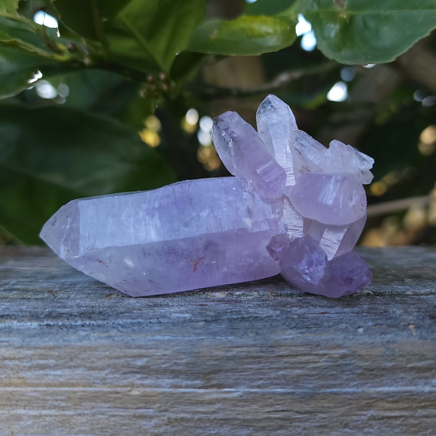 Vera Cruz Amethyst Specimen