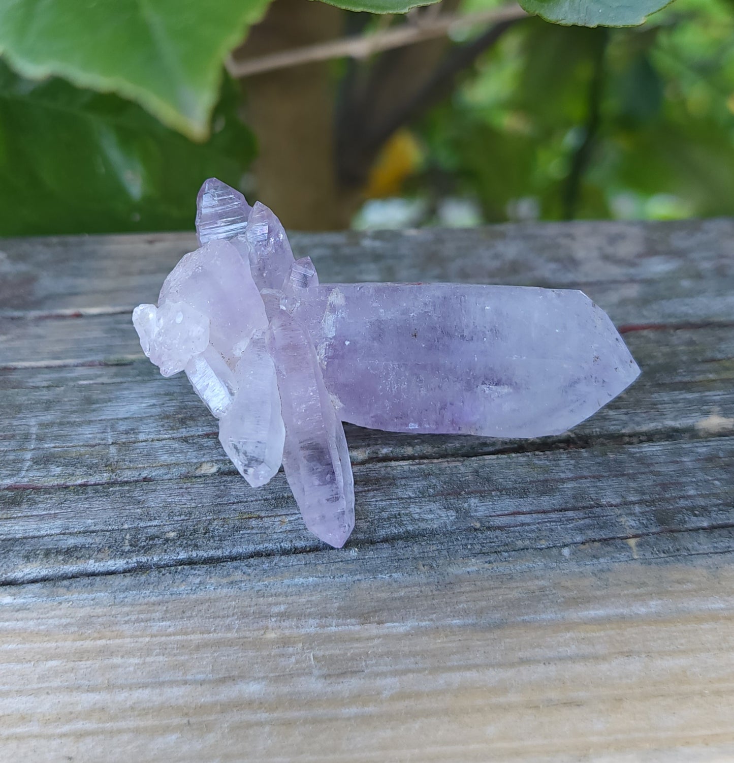 Vera Cruz Amethyst Specimen