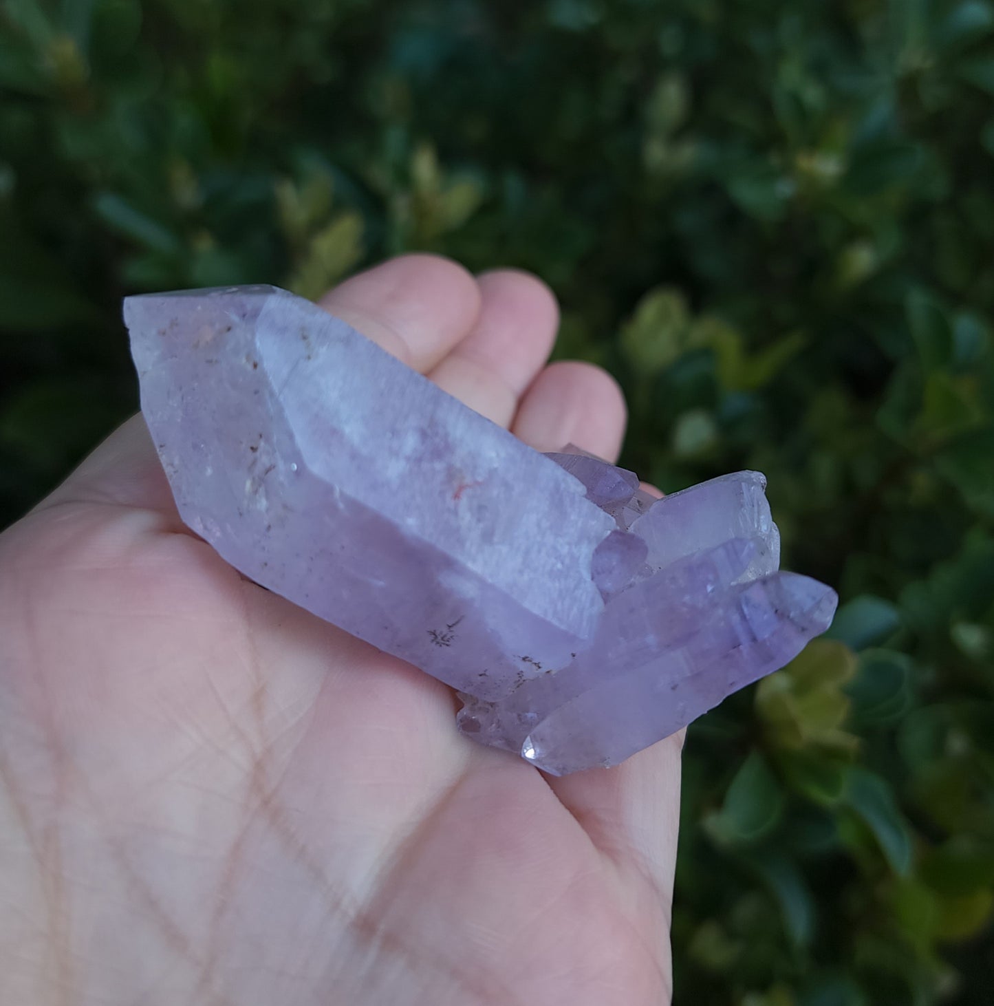 Vera Cruz Amethyst Specimen