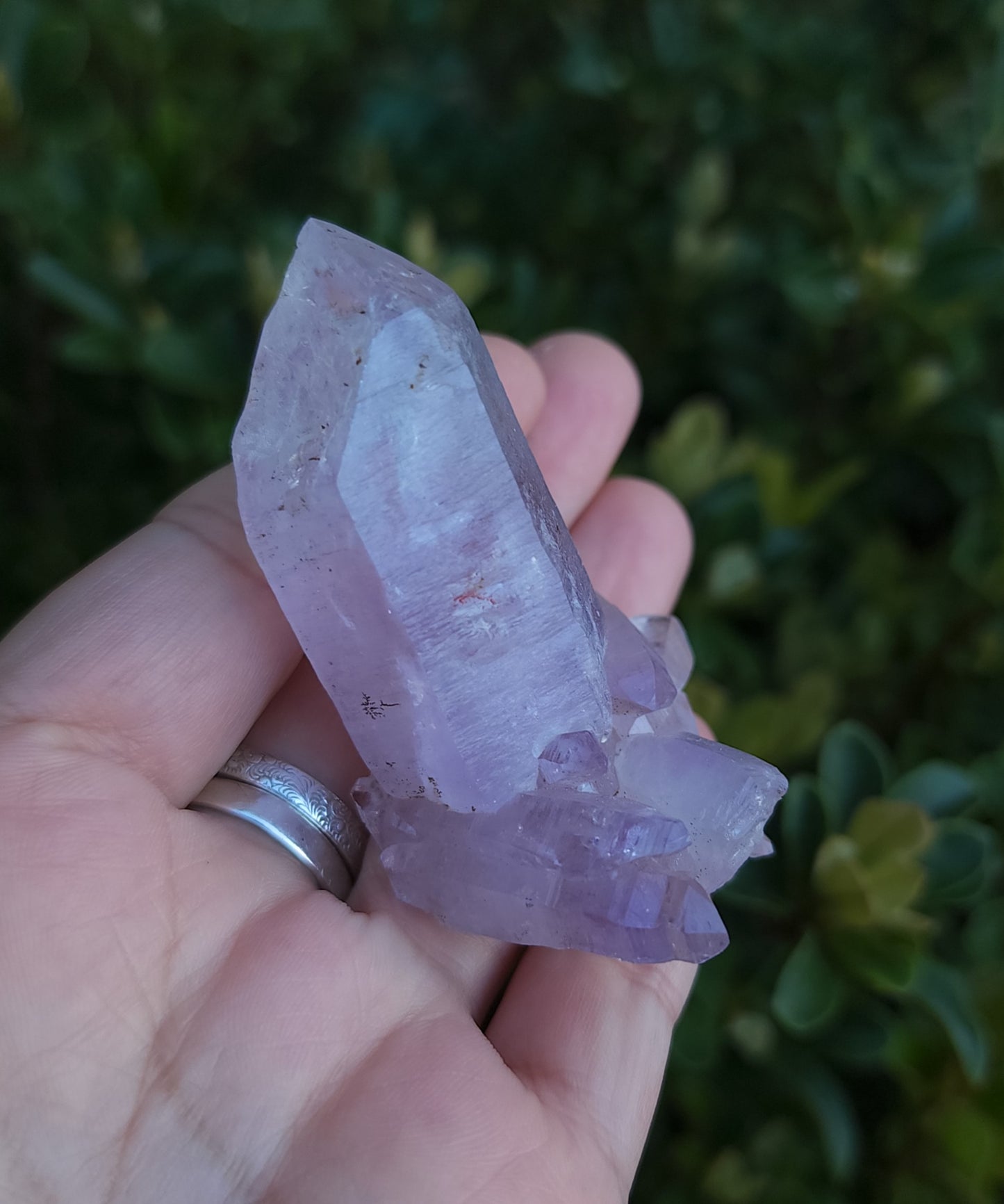 Vera Cruz Amethyst Specimen