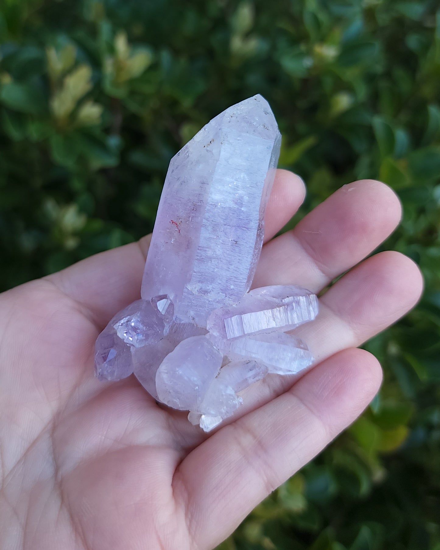 Vera Cruz Amethyst Specimen