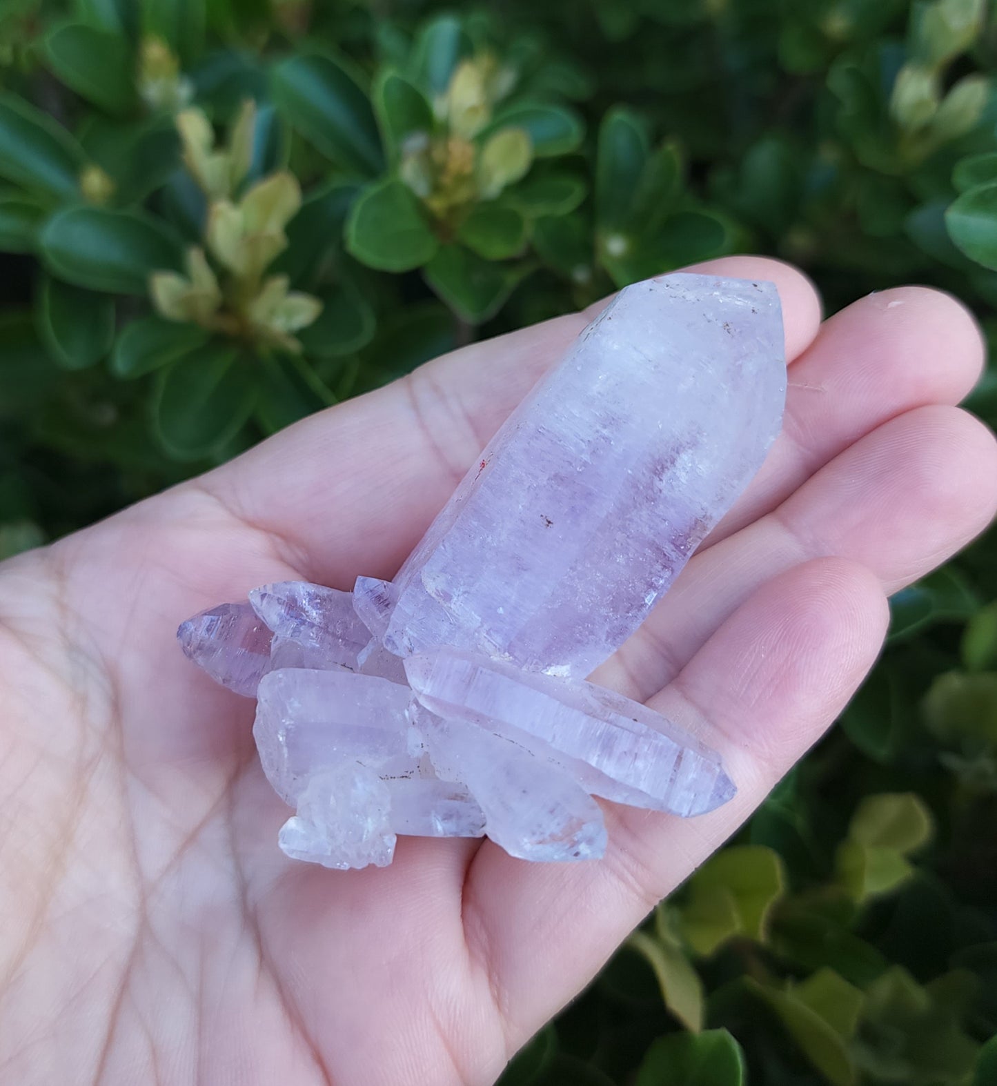 Vera Cruz Amethyst Specimen