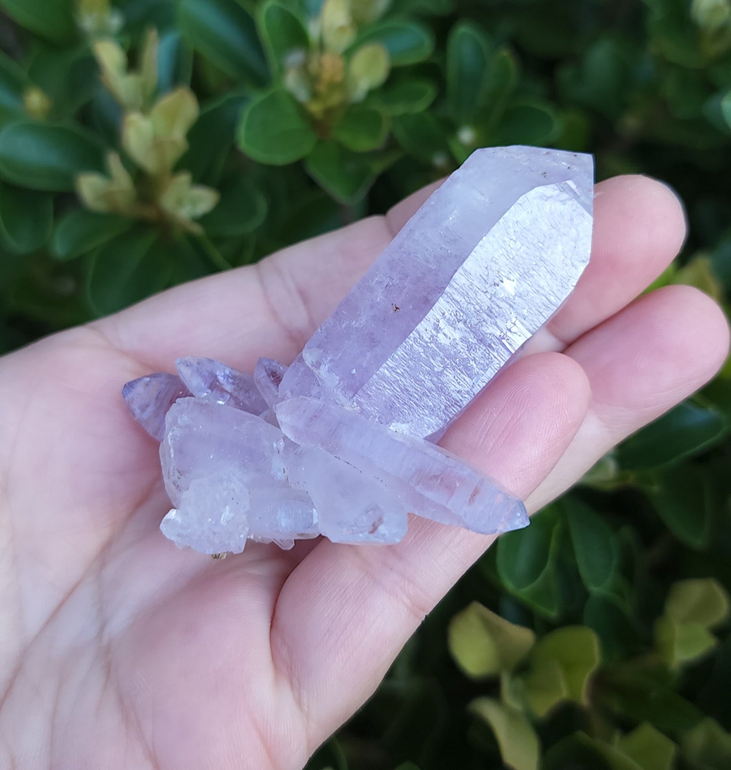 Vera Cruz Amethyst Specimen