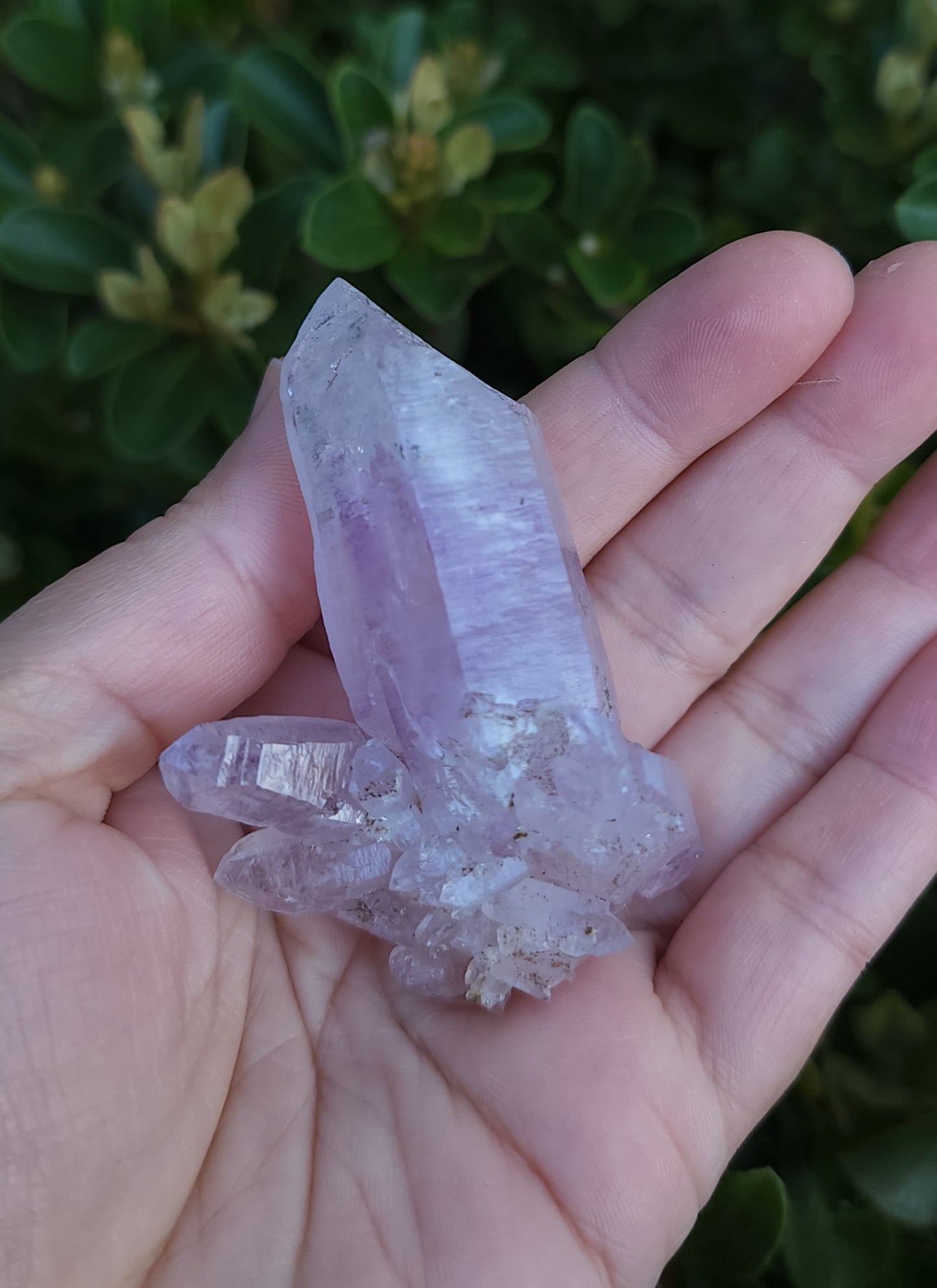 Vera Cruz Amethyst Specimen