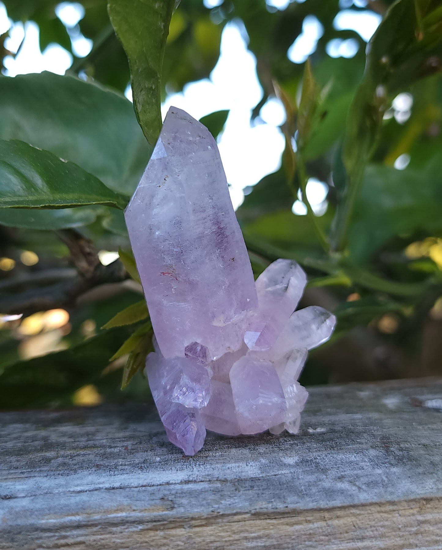 Vera Cruz Amethyst Specimen